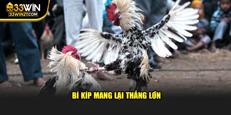 Bí kíp mang lại thắng lớn