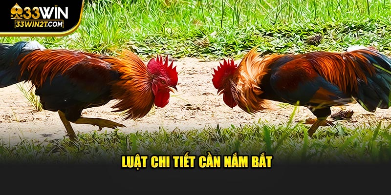 Luật đá gà thomo 33win chi tiết cần nắm bắt